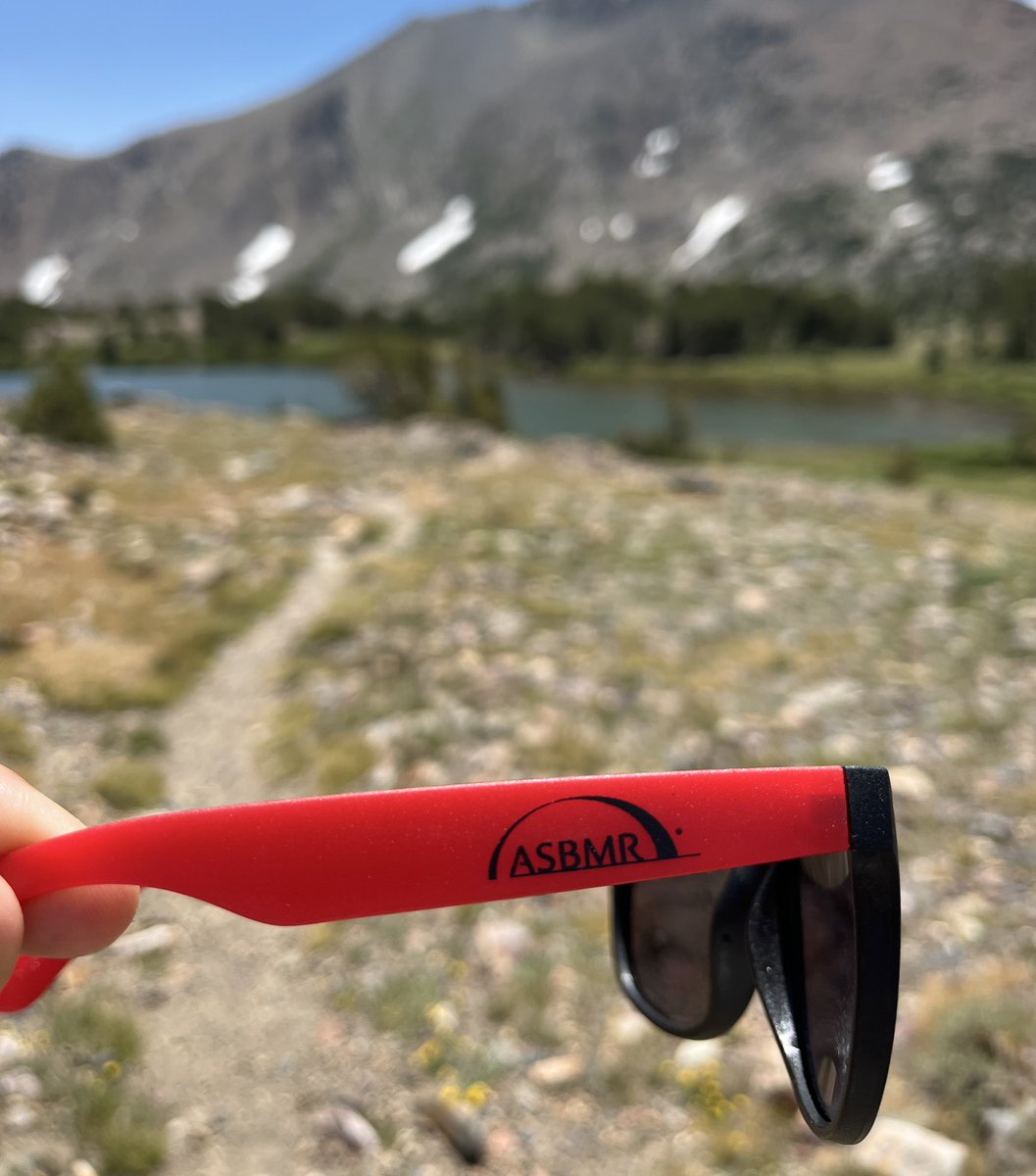 ProfCJHernandez's tweet image. Where did you take your @ASBMR swag this summer?