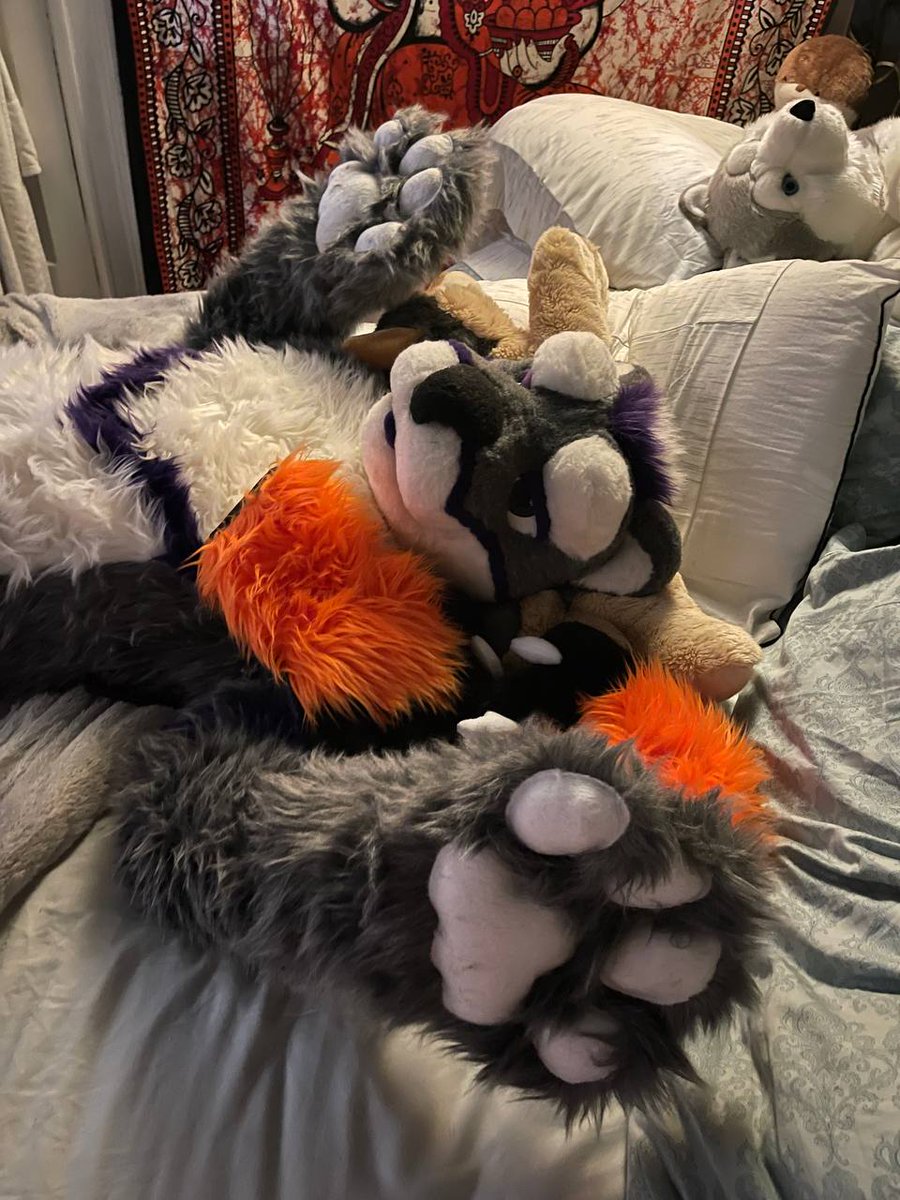 WTRsausage's tweet image. Hold me close and treat me like a big plush. Life's to hard not to have a plush in it.