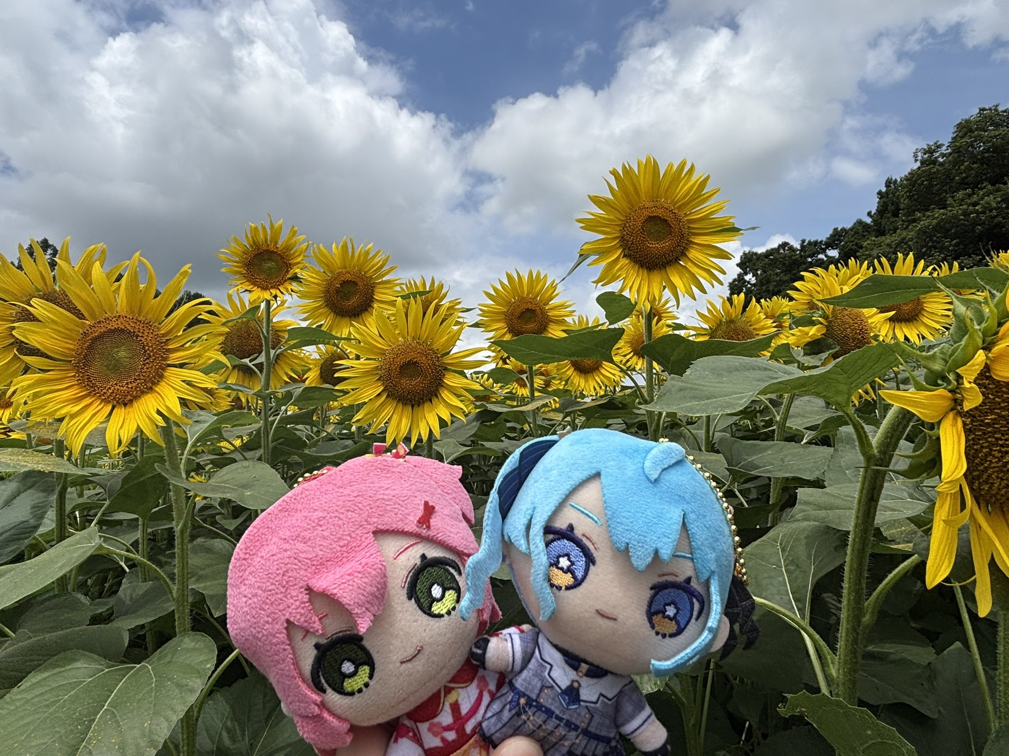 たかと🌸☄️🐻️💿 on X: 