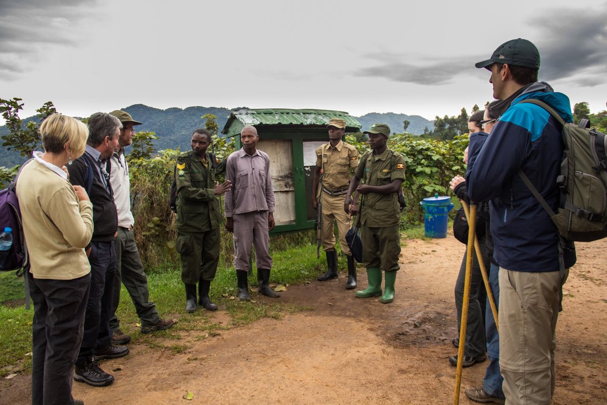 Want to learn about local culture? Join a community walk in Bwindi! Meet the Bakiga and Batwa people, learn traditional skills, and support local communities. Curious? Find out more at bwindiforestnationalparkuganda.com   #bwindiimpenetrablepark
#bwindinationalpark
#bwindipark