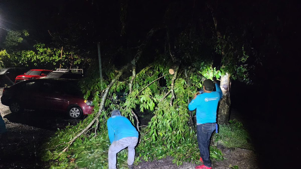 ObraMunicipal's tweet photo. Seguimos en alerta 24/7 ante emergencias por lluvias ⛈️
En Ciudad Futura, Cuscatancingo, San Salvador 📍ya puedes circular con seguridad y tranquilidad,
finalizamos la limpieza del área, tras el árbol caído. 🚗
#EnLaDirecciónCorrecta #sv #gobsv https://t.co/wwYE9jeOuQ