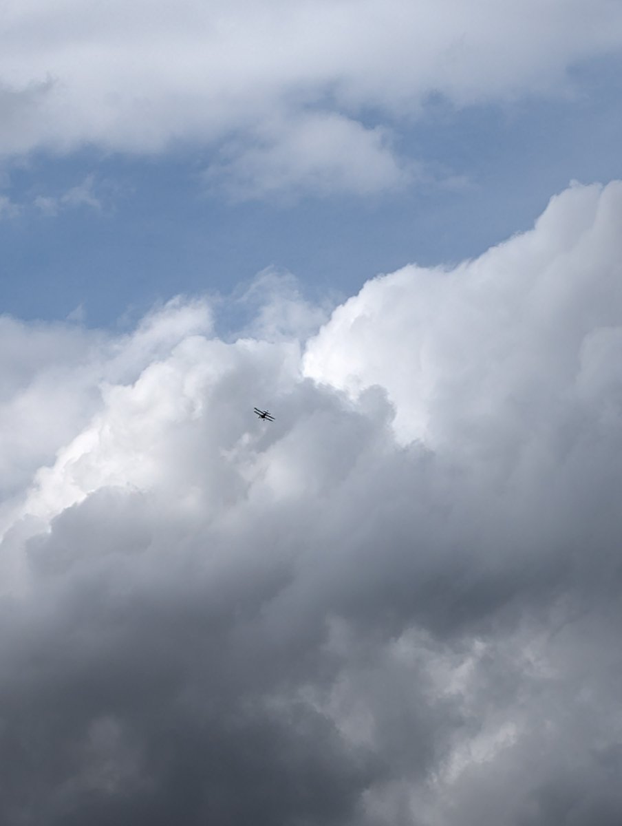 Seth Glick tweet media