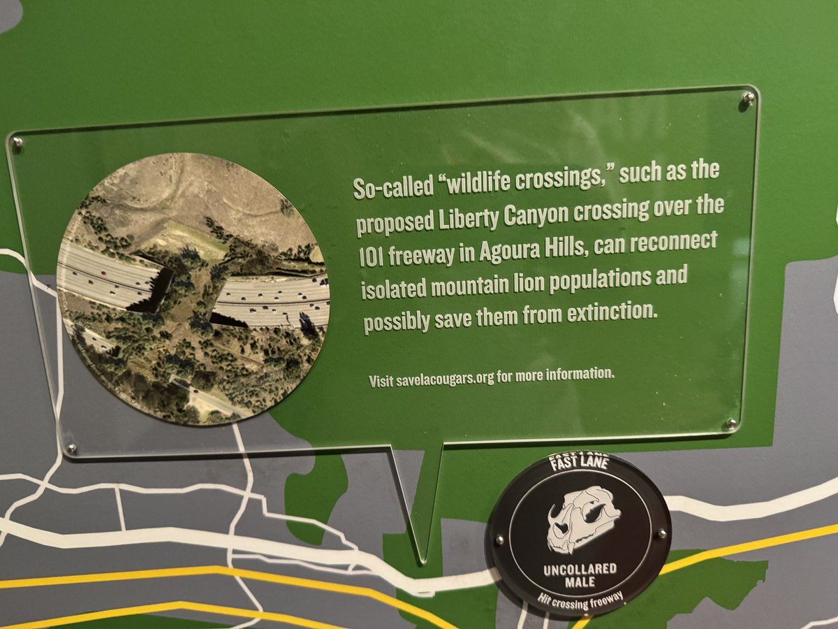 Beth Pratt tweet media