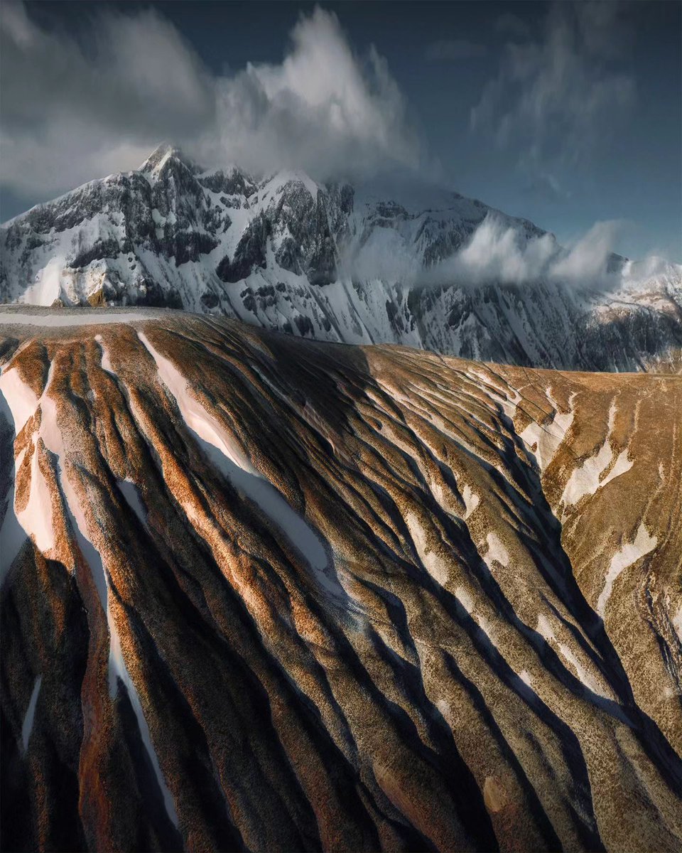 Good morning everyone 🌹 
Buenos días a todos 🌻
Guten Morgen Freuden 🌞
Bonjour a tous 🤘
Buongiorno a tutti monde 🏝️ 
Bom día 🐝