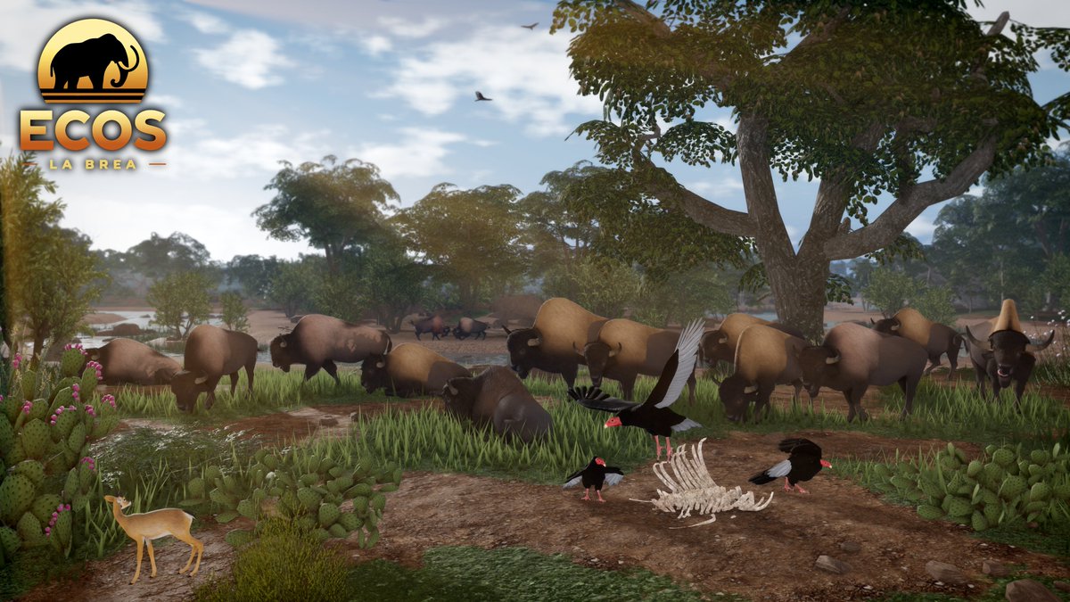 ecos_roblox's tweet image. A passing bison herd disturbs the stillness of the evening...
Ballona Creek is the primary waterway that carves its way through the Santa Monica basin. While today it flows as a concrete, channelized stream, during the last Ice Age it fed a vibrant riparian ecosystem. 🍃