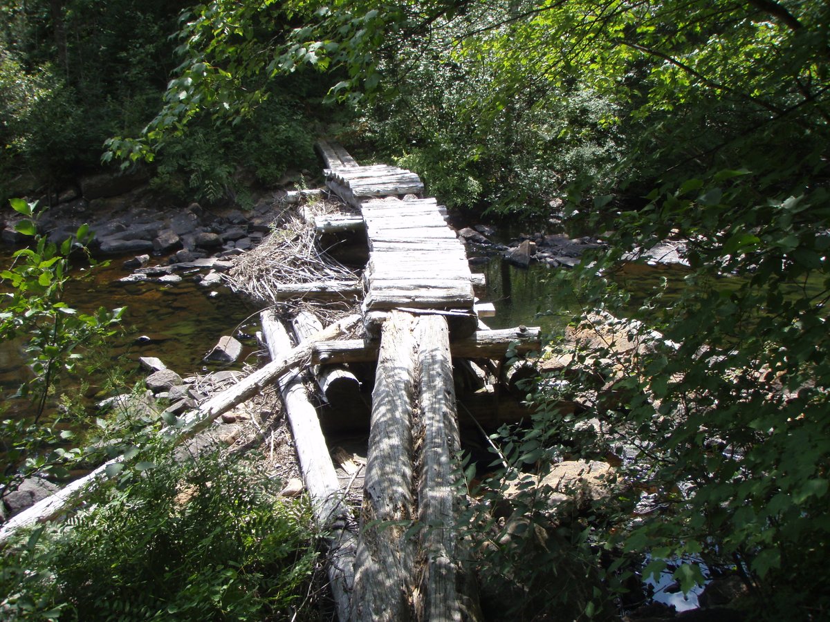 Hiking in Algonquin Park...  Bring your bear-bangers and hide the supplies.