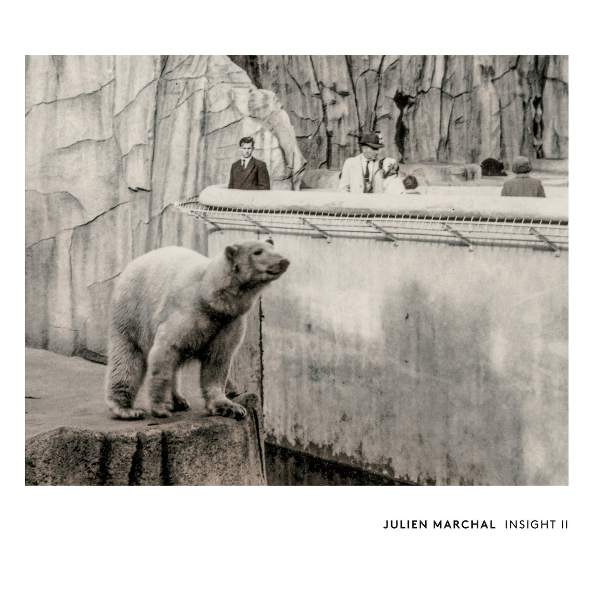 Ucuuu__'s tweet image. [DISC GUIDE]
Julien Marchal『Insight II』

気持ちを落ち着かせたり、自分のソロ活動へと気持ちを切り替えたりするために、この作品をよく聴いています。（Rie Nemoto）
ucuuu.net/discguide/Insi…