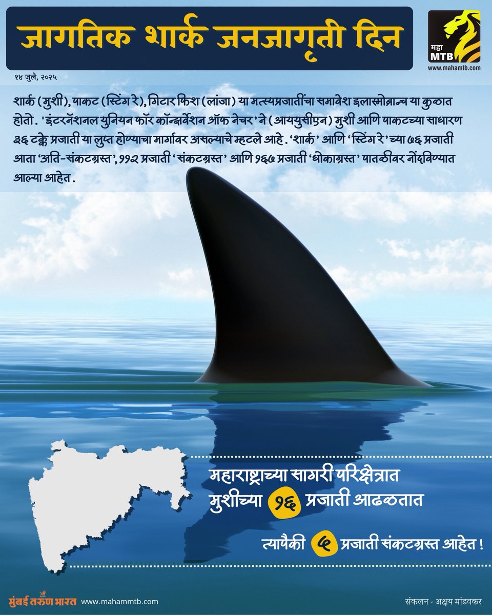 akshay_journo's tweet image. World Shark Awareness Day
14 July, 2025
Important shark species & Areas of Maharashtra.
@ranjeetnature @TamhiniGhat @SloganMurugan @IUCNShark @AnantPande28 @AndreaDPhillott @nupurkale_
