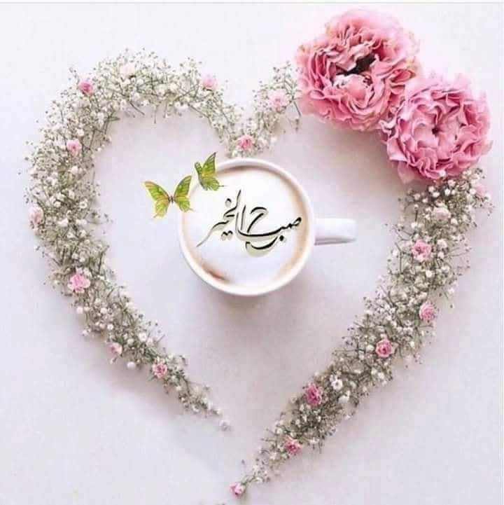 📌 ابتسم فأنت جميل وتستحق الفرح والفرج.. وعوض الله قادم إليك بإذن الله 🌿💚

صباح الورد 🌹 💚