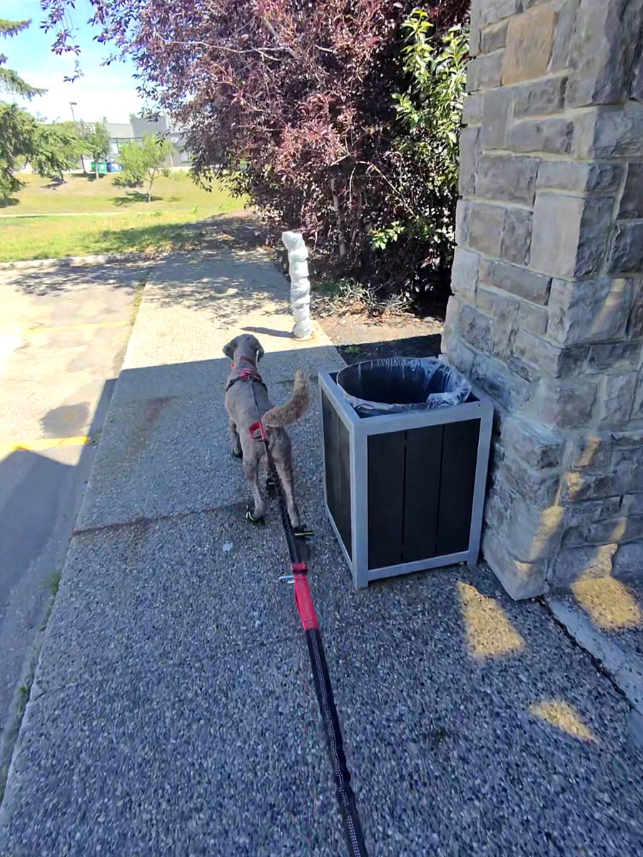 Ryan_the_Spoo's tweet image. So that little cigarette post that’s wrapped up… it freaked me out the other day so, I was a brave boy and walked by it today! Overcome your fears! #spoo #spooinboots