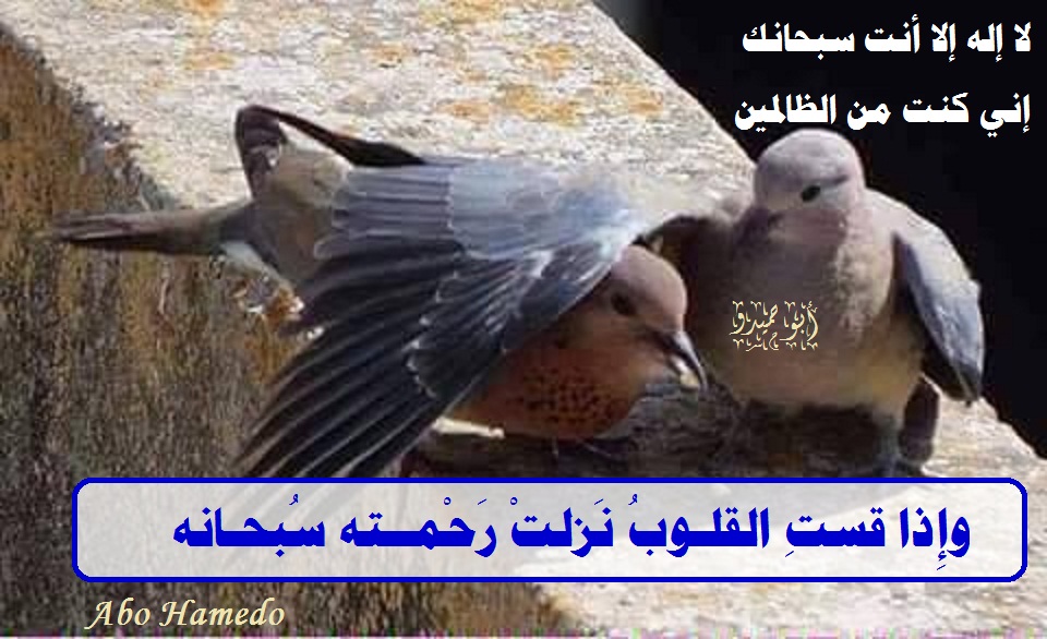 Abo Hamedo (@abohamedo) on Twitter photo <a href="/esmai_ali61/">أبو أنس</a> <a href="/Abu_Rashed19/">أبو راشد</a> <a href="/A1toX36ZhfjA0pF/">تعبان يازمان. 🌹 ♥️🌹 المهاجر🌹🌹♥️🌹🌹</a> <a href="/abrahym04491461/">ابراهيم موسى</a> <a href="/khaledGeba83364/">khaled algebaly</a> <a href="/mhmood__999990/">ℳℋℳᎾᎾⅅ</a> <a href="/abwmhmdalzanya2/">ابو محمد العزاني العزاني</a> <a href="/RobbiatulLatif1/">Robbiatul Latifah</a> <a href="/bassamzid/">بسام زيد</a> <a href="/nbylmhm7618468/">ابن السودان 🇸🇩🇸🇩🇸🇩🇸🇩</a> <a href="/momedessa89/">محمد عىسى</a> <a href="/rsvSXGjma1fPttA/">شاكر الكمار</a> <a href="/AbtsamZawy/">ابتسام العزاوي.</a> <a href="/bwfmh638485591/">@علي @</a> <a href="/rql5y/">فارس نجد</a> <a href="/Good_moham/">محمد</a> <a href="/m___0859/">المـﯧـر ڪاٺⓂ️</a> <a href="/abdulazizz50/">عبد العزيز السلامة أوثال</a> <a href="/adel73467641/">الغنيم عادل</a> <a href="/SAbdelbadee/">أبو عبد الرحمن</a> <a href="/LashenBek/">Lashen bek</a> <a href="/ssoltan20304/">Sadiq Al , Selmi</a> <a href="/lmrylmr93902488/">Mrwan</a> <a href="/CHcjyff863/">ربيع ماهر احمد احمد رشوان</a> <a href="/AlmradnyHmdy/">حمدى ابراهيم يحيى عباس المرادنى</a> <a href="/EsalamMagd3582/">Magdy Abd.Esalam</a> <a href="/abu_aqeel5/">ابوعقيل</a> <a href="/abdoulabdoul312/">@abdoul abdoul 31</a> <a href="/La50__/">🇸🇦🇸🇦💚غيد الجنوب💚🇸🇦🇸🇦</a> <a href="/Abouali1958/">Moh walid Elghazzaoui</a> <a href="/samawi_m/">الاديب✍️</a> <a href="/Mustapha3abir/">Mustapha 3abir</a> <a href="/hmadhmmdwh8/">حماده ممدوح</a> <a href="/mansourabotalb/">منصور منصور منصور ابوطالب</a> <a href="/maha8321553/">🌸maha🌸</a> <a href="/RabieWarra16307/">Rabie Warrad</a> <a href="/NNema88305/">حياة ، فراق ، موت ..</a> <a href="/fatma15723404/">fatma</a> <a href="/gilan53/">ثريــــــــــــاء 🇸🇦💚</a> <a href="/n76652876/">نادر الحمادي</a> <a href="/GoodYemn/">Good_yemn.العاقل</a> <a href="/NASHI_220/">ناشي</a> <a href="/faeqah_m/">الجنة غايتي 🌷🌼🍀</a> <a href="/Quran0120/">ذكر</a> <a href="/fatma88g/">هيبه</a> <a href="/yaser25685yaser/">الصلاة والسلام على نبينا محمد</a> <a href="/MelissaSouzi/">bochra_lil....🌹🇵🇸❤️🇩🇿🌹</a> <a href="/Ahk148814687/">عبْد العزيز حمَد السَّلامَة</a> <a href="/JntyThany/">امي جنتي (تهاني)</a> <a href="/esmai_ali61/">أبو أنس</a> <a href="/Abu_Rashed19/">أبو راشد</a> <a href="/A1toX36ZhfjA0pF/">تعبان يازمان. 🌹 ♥️🌹 المهاجر🌹🌹♥️🌹🌹</a> <a href="/abrahym04491461/">ابراهيم موسى</a> <a href="/khaledGeba83364/">khaled algebaly</a> <a href="/mhmood__999990/">ℳℋℳᎾᎾⅅ</a> <a href="/abwmhmdalzanya2/">ابو محمد العزاني العزاني</a> <a href="/RobbiatulLatif1/">Robbiatul Latifah</a> <a href="/bassamzid/">بسام زيد</a> <a href="/nbylmhm7618468/">ابن السودان 🇸🇩🇸🇩🇸🇩🇸🇩</a> <a href="/momedessa89/">محمد عىسى</a> <a href="/rsvSXGjma1fPttA/">شاكر الكمار</a> <a href="/AbtsamZawy/">ابتسام العزاوي.</a> <a href="/bwfmh638485591/">@علي @</a> <a href="/rql5y/">فارس نجد</a> <a href="/Good_moham/">محمد</a> <a href="/m___0859/">المـﯧـر ڪاٺⓂ️</a> <a href="/abdulazizz50/">عبد العزيز السلامة أوثال</a> <a href="/adel73467641/">الغنيم عادل</a> <a href="/SAbdelbadee/">أبو عبد الرحمن</a> <a href="/LashenBek/">Lashen bek</a> <a href="/ssoltan20304/">Sadiq Al , Selmi</a> <a href="/lmrylmr93902488/">Mrwan</a> <a href="/CHcjyff863/">ربيع ماهر احمد احمد رشوان</a> <a href="/AlmradnyHmdy/">حمدى ابراهيم يحيى عباس المرادنى</a> <a href="/EsalamMagd3582/">Magdy Abd.Esalam</a> <a href="/abu_aqeel5/">ابوعقيل</a> <a href="/abdoulabdoul312/">@abdoul abdoul 31</a> <a href="/La50__/">🇸🇦🇸🇦💚غيد الجنوب💚🇸🇦🇸🇦</a> <a href="/Abouali1958/">Moh walid Elghazzaoui</a> <a href="/samawi_m/">الاديب✍️</a> <a href="/Mustapha3abir/">Mustapha 3abir</a> <a href="/hmadhmmdwh8/">حماده ممدوح</a> <a href="/mansourabotalb/">منصور منصور منصور ابوطالب</a> <a href="/maha8321553/">🌸maha🌸</a> <a href="/RabieWarra16307/">Rabie Warrad</a> <a href="/NNema88305/">حياة ، فراق ، موت ..</a> <a href="/fatma15723404/">fatma</a> <a href="/gilan53/">ثريــــــــــــاء 🇸🇦💚</a> <a href="/n76652876/">نادر الحمادي</a> <a href="/GoodYemn/">Good_yemn.العاقل</a> <a href="/NASHI_220/">ناشي</a> <a href="/faeqah_m/">الجنة غايتي 🌷🌼🍀</a> <a href="/Quran0120/">ذكر</a> <a href="/fatma88g/">هيبه</a> <a href="/yaser25685yaser/">الصلاة والسلام على نبينا محمد</a> <a href="/MelissaSouzi/">bochra_lil....🌹🇵🇸❤️🇩🇿🌹</a> <a href="/Ahk148814687/">عبْد العزيز حمَد السَّلامَة</a> <a href="/JntyThany/">امي جنتي (تهاني)</a>