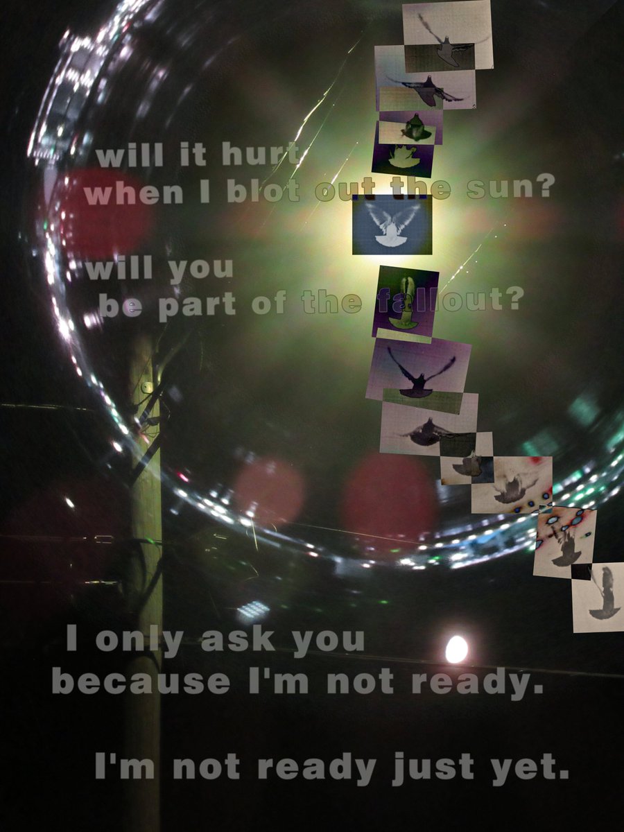 dani_l_canari's tweet image. not ready just yet