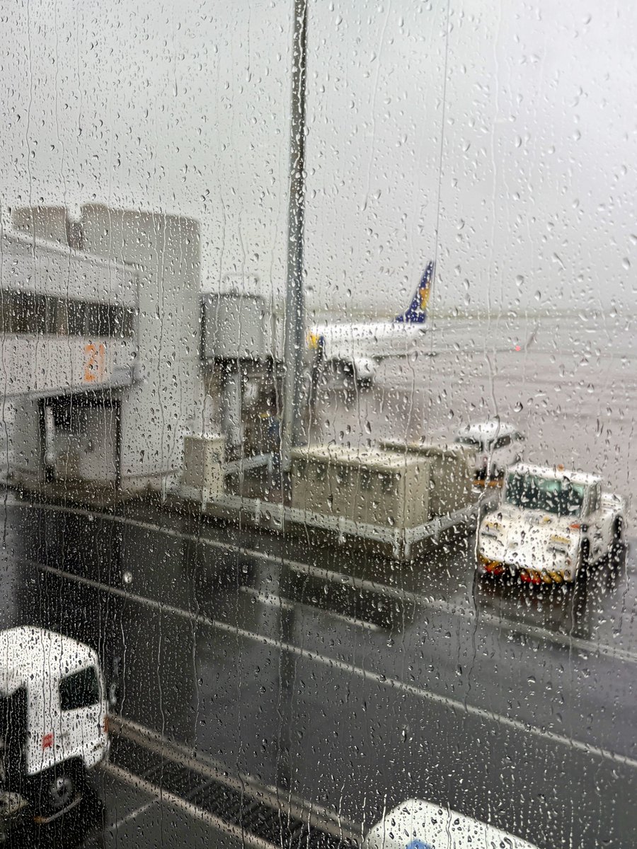 Alma_visited's tweet image. 飛びそうで良かった