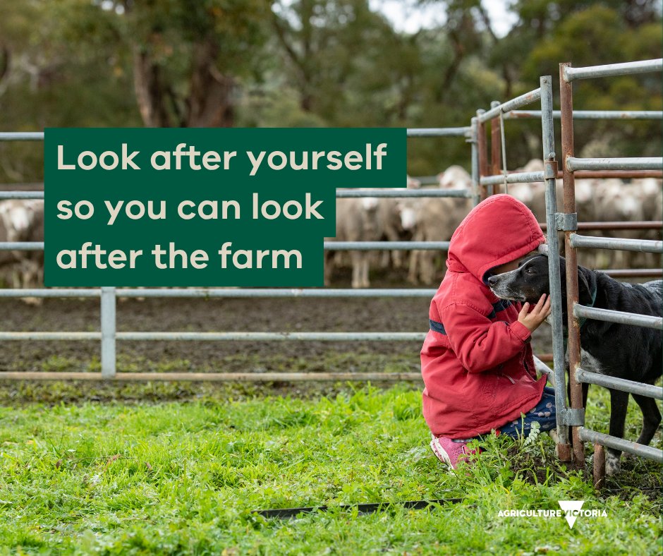 Taking care of yourself is as important as taking care of the farm. Wellbeing + mental health services include:
Support Hub: farmerhealth.org.au/support-hub-vi…
<a href="/RoyalFlyingDoc/">Royal Flying Doctor Service</a>: flyingdoctor.org.au/vic/what-we-do…
RFCS Victoria West: wswrcs.com.au/wellbeing
More: agriculture.vic.gov.au/drought or 📞136 186