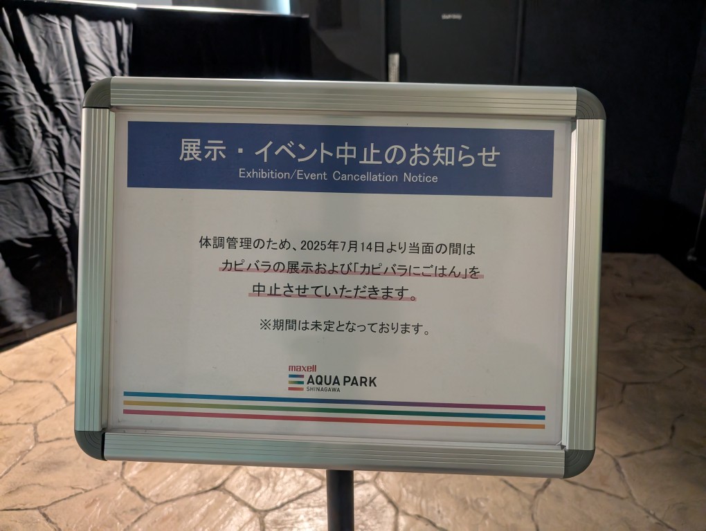 capipiro's tweet image. 本日から、アクアパーク品川カピバラ、展示中止です・・・。（涙）