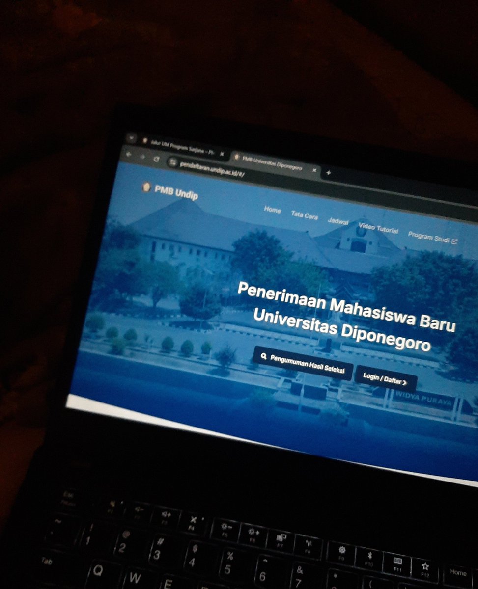 kali ini tolong undip terima cintakuu