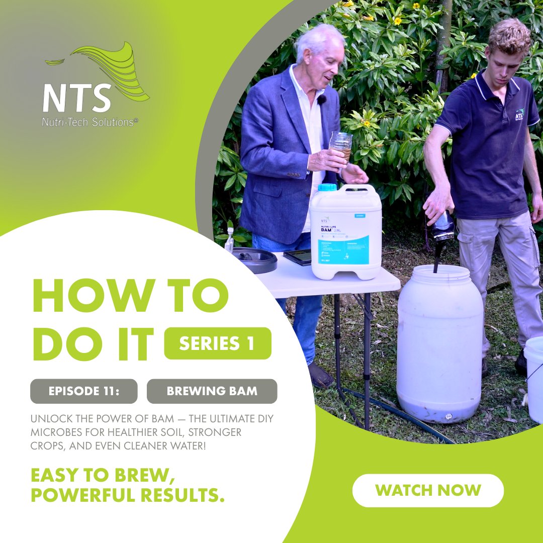 ntsaustralia's tweet photo. 🌱 How to Do It Series 1 | Episode 11: Brewing BAM
Learn how BAM (Beneficial Anaerobic Microbes) are transforming farms from soil health to livestock and even composting — this is the future of DIY ag.
Watch it now 👉 https://t.co/FddI3Irsg6
#BrewingBAM #BAMPower #AgRevolution https://t.co/A0MvP9Z1hf