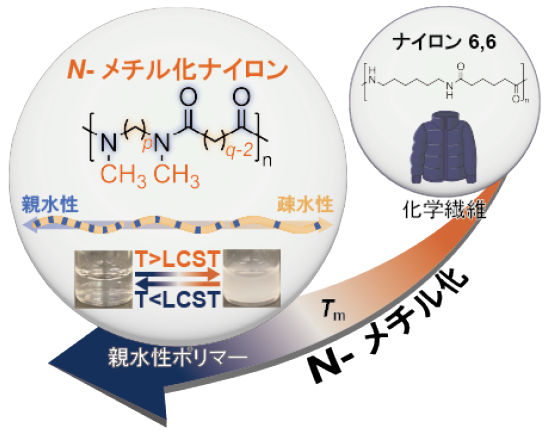 HokkaidoUnivPR's tweet photo. 【研究成果】
易分解性で水に可溶なN-メチル化ナイロンの開発に成功～忘れ去られたポリアミドの親水性材料への新展開～（理学研究院　教授　佐田和己、助教　松岡慶太郎）

詳細はこちら
https://t.co/rfRXVGhU7L

#北海道大学 #北大 https://t.co/K2naN7PErN