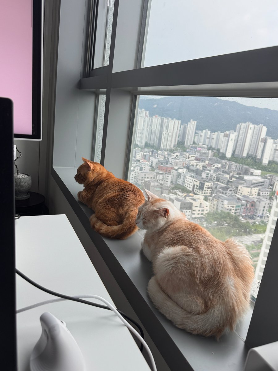 find_firsthome's tweet image. 어제자 데칼코마니 입니다.