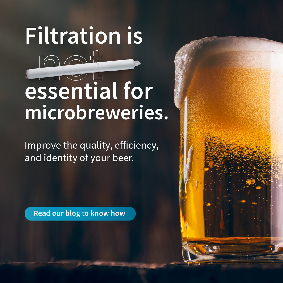 Filtration matters a lot in small batch brewing. From protecting flavors with sterile air to ensuring microbiological safety with sterile CO₂ filtration, the right process filters help microbreweries deliver consistent quality: bit.ly/4kUWPGx