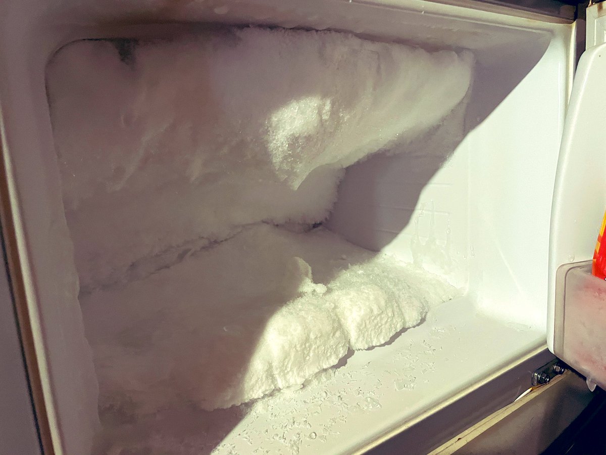 冷凍庫あけたら氷河期やった