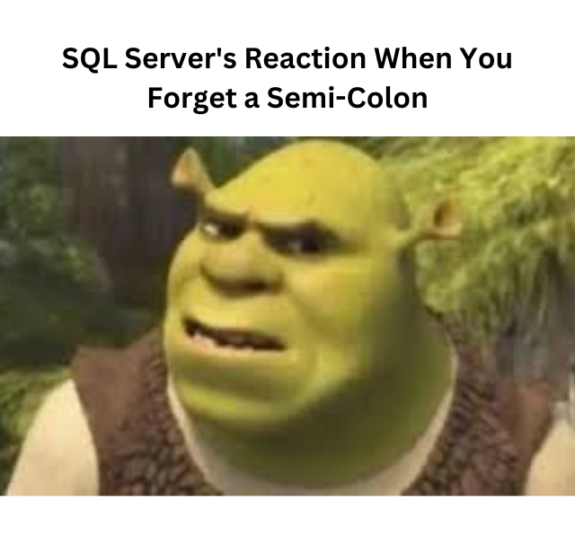 SQLGroup's tweet image. #databasehumor #codingjokes #sqlmemes #techlaughs #programmerlife #nerdhumor #sqlmeme #shrekmeme