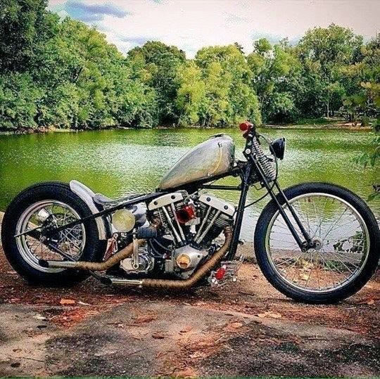 Chopper_S81's tweet image. 