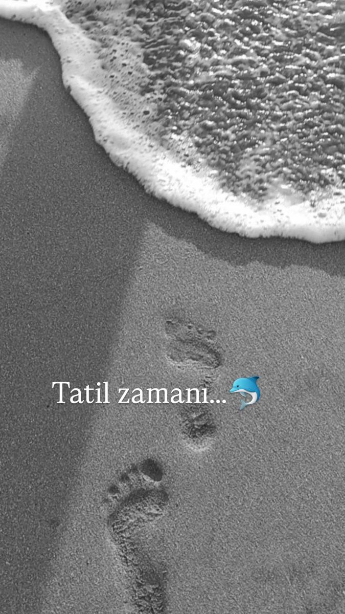 Offline...🏊‍♂️🐬