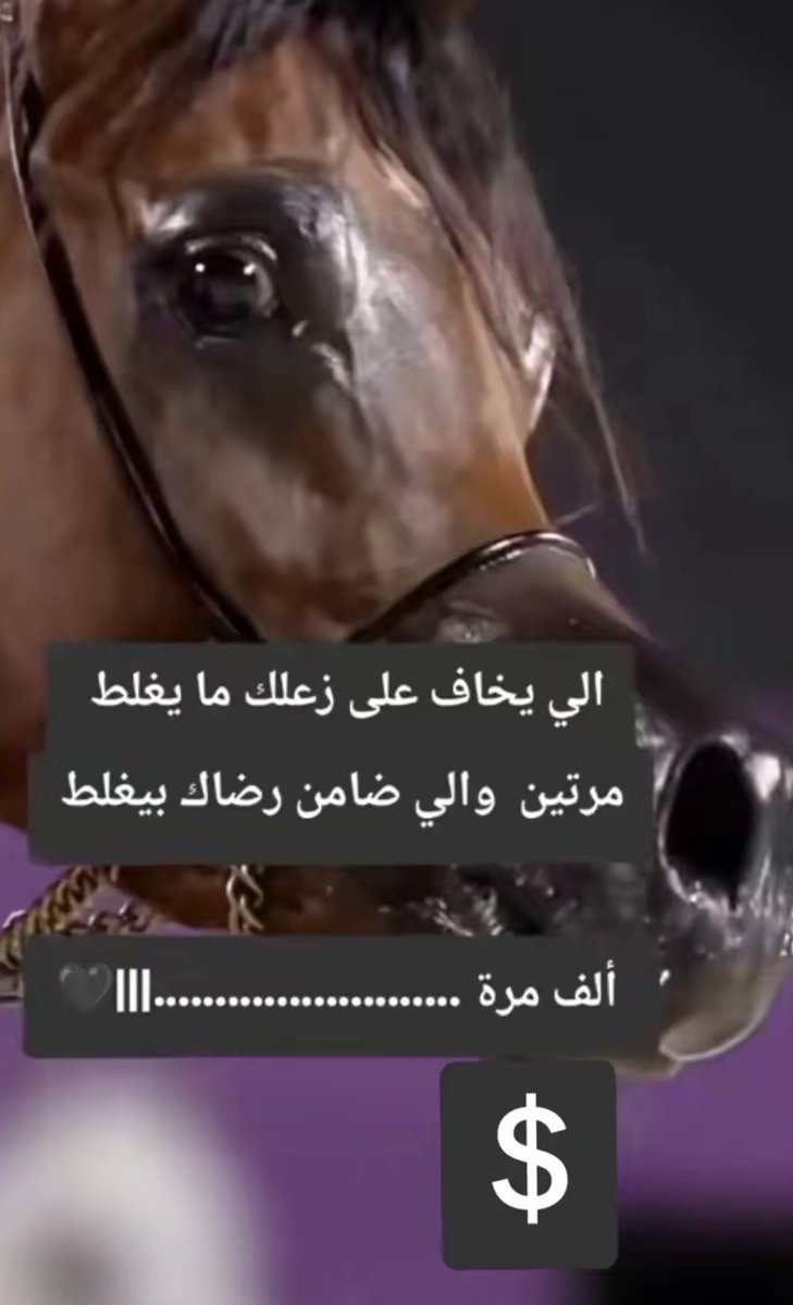 عبدالله محمد الصمعاني (@shahedh4343) on Twitter photo 