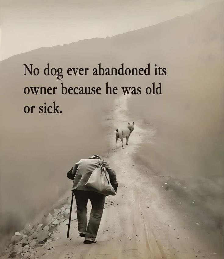 Most people don’t measure up to dog’s loyalty!