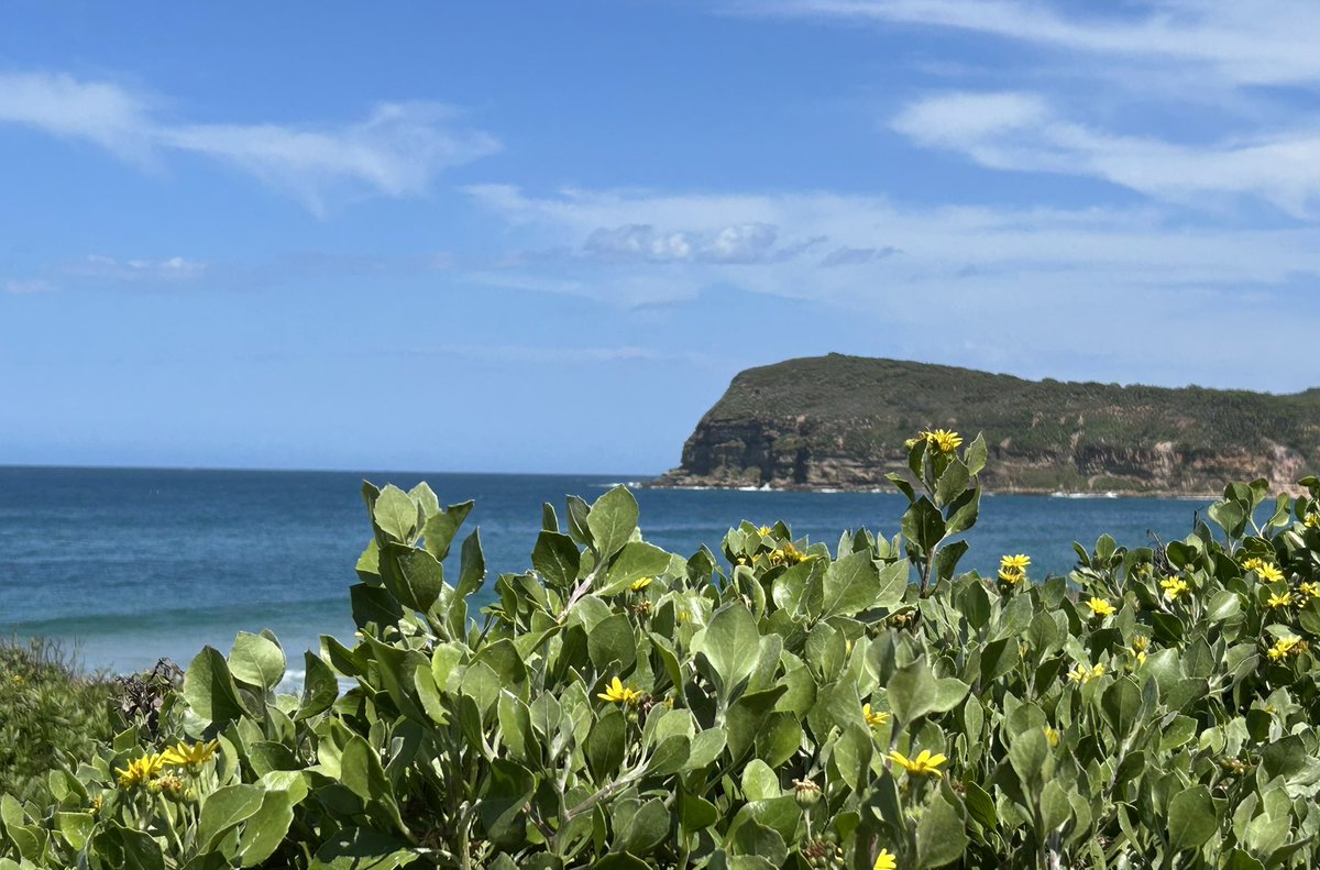 JayBomSenhor's tweet image. gm 𝕏 ☕️
Let’s have a great start to the new week!
Good vibes Monday! ☀️