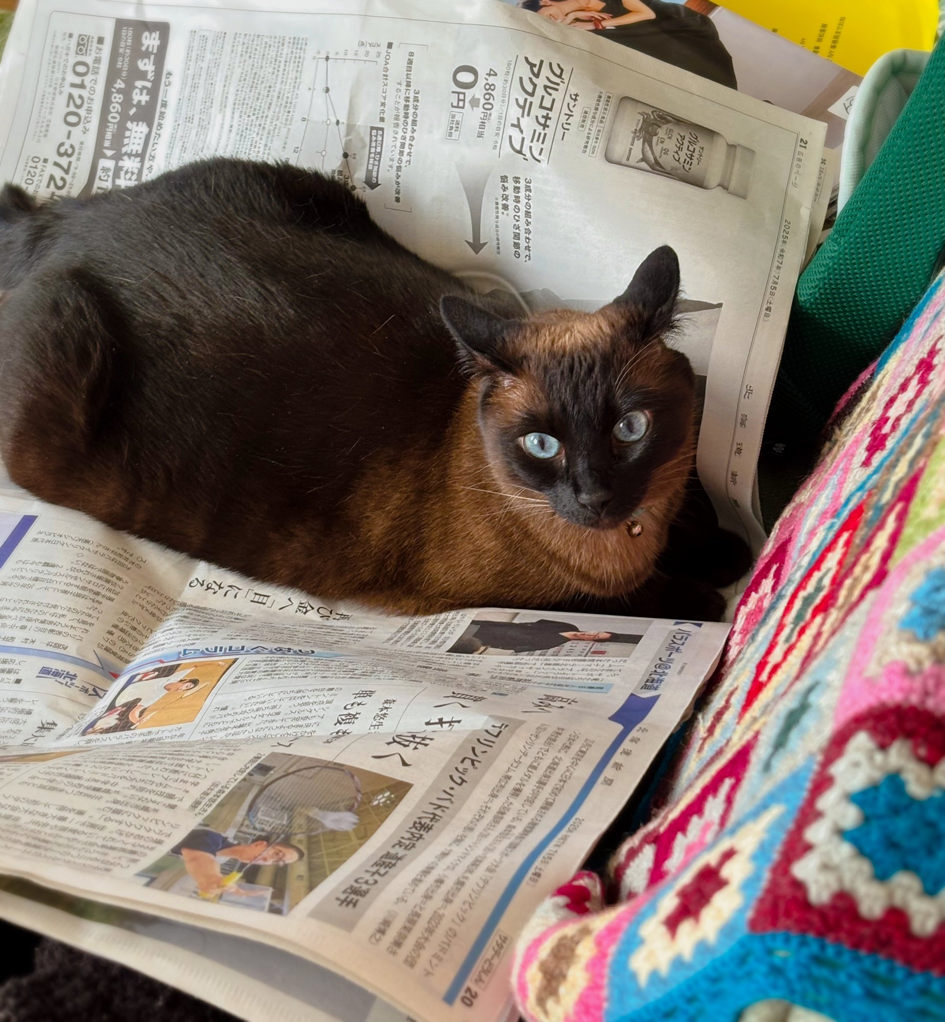 isaページ•*¨*•.¸♬︎ Ibanez SR5AH アイバニーズ 【 イオンモール京都桂川店