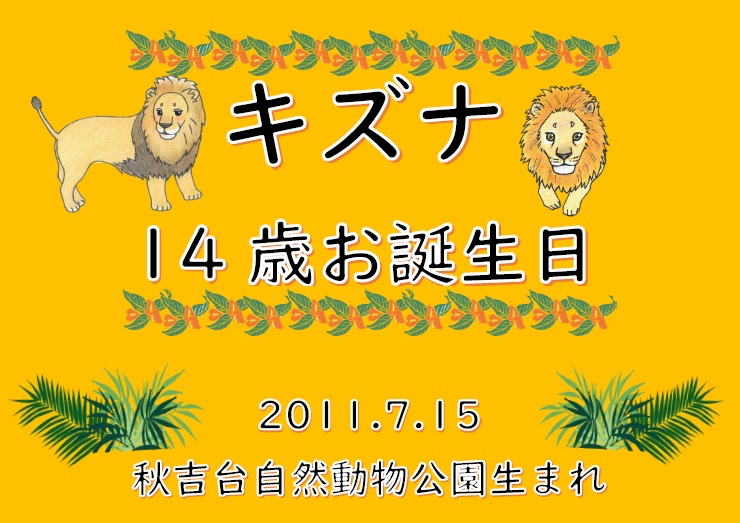 KochicityZoo's tweet image. ライオンの「キズナ」が14歳になりました。
誕生日おめでとう！
暑い日が続いていますが、元気に過ごしています。

#和の森わんぱーくこうちアニマルランド　
#ライオン 
#キズナ
#誕生日おめでとう