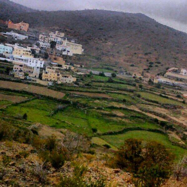 في زيارتنا لابن الخال ابو نايف قال:
"حي الله العوال وريحة العوال"
فاستَجرّت هذه العبارة الذكريات التالية:
يامحمـد مـرت الايـام عـجلـة
مـسرع الايام مـرت يامـحمـد
كن خالي حي وامي جات لجله
تسأله كيفك فيضحك ويتحمد
ماوعينا لـين قالوا جـف دِجلة
من يرد الماء لدجلة يامحمـد 
#ابو_راكان🌹
