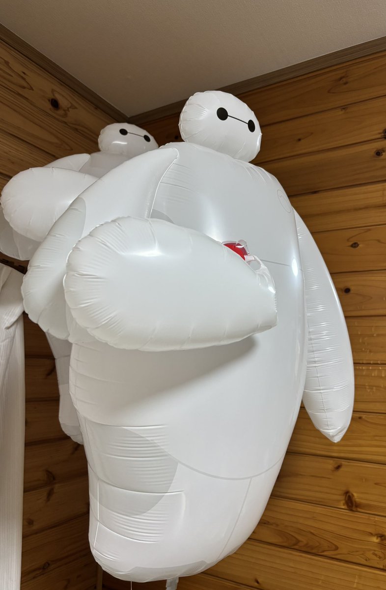 わが家のケアロボットさんたち✨堂々とご立派な感じです