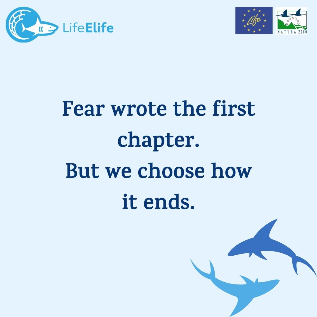 elife_project tweet media