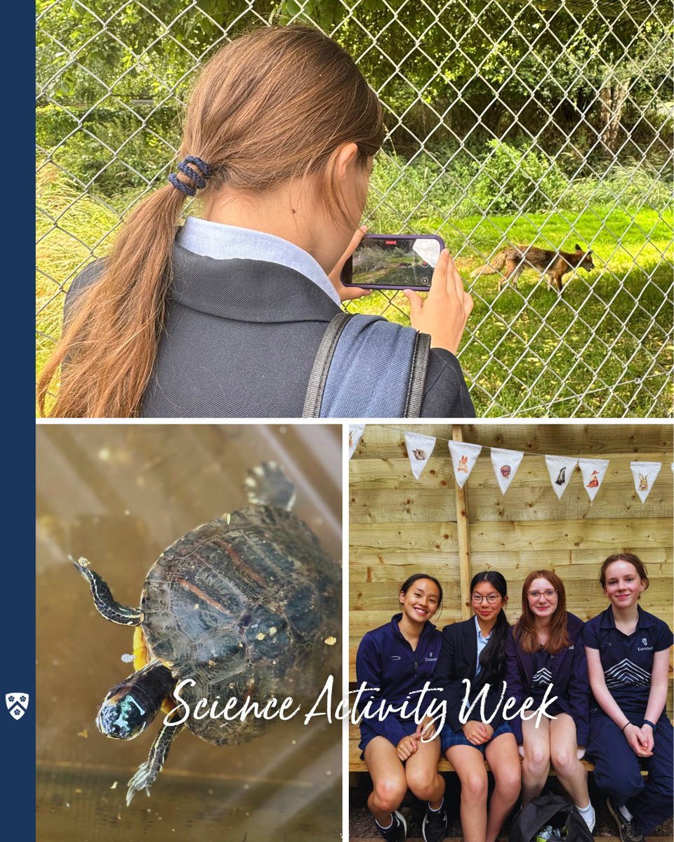 TormeadSchool's tweet photo. We packed so much into our Science Camp for Activity Week: Years 7 and 8 took a trip to @BWCTweets. Years 9 and 10 visited @BrooklandsMuseu. The students then all took part in a carousel of STEM activities before joining together on the last day to visit @Livrainforest. https://t.co/hGrHQAb2S4