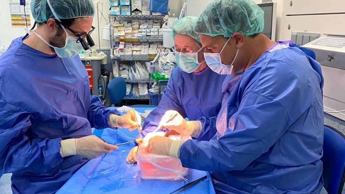 EmuriInnova's tweet image. 🏥 La ciencia puntera murciana está al servicio de la vida.
Hoy celebramos esta noticia: "Investigadores de Murcia aplican la #IA para conocer antes de una operación si un trasplante de hígado funcionará". 👏
Lee aquí toda la información: laopiniondemurcia.es/comunidad/2025…