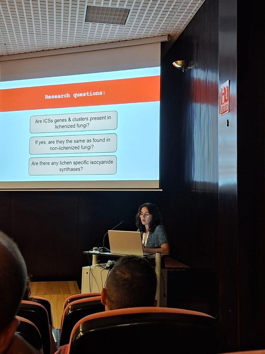 Anna Vaiana tweet media