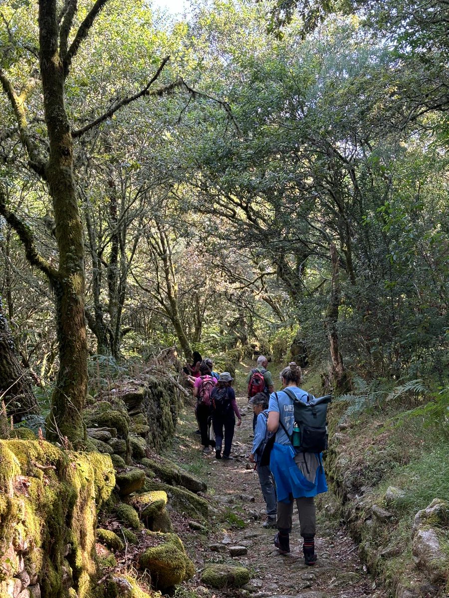 Anna Vaiana tweet media