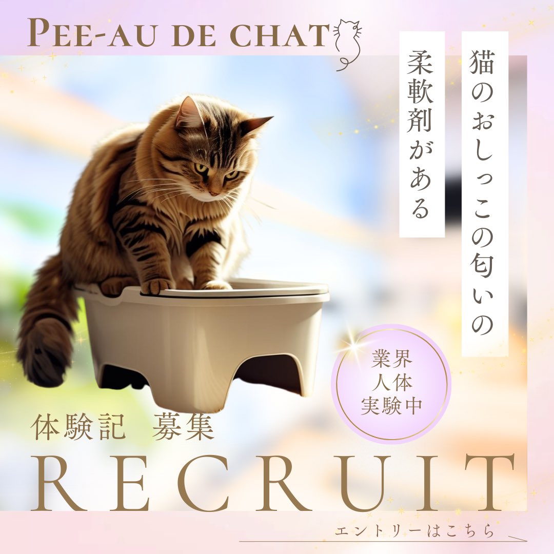 lesparentsdet's tweet photo. 猫🐈のおしっこの匂いの柔軟剤があると聞いたことがあるのですが🙀都市伝説？ エントリーお待ちしてますにゃ
#猫  #ネコ #猫飼い #猫のいる暮らし #猫のいる生活 #猫好きさんと繋がりたい https://t.co/Ng1QHJU2nw