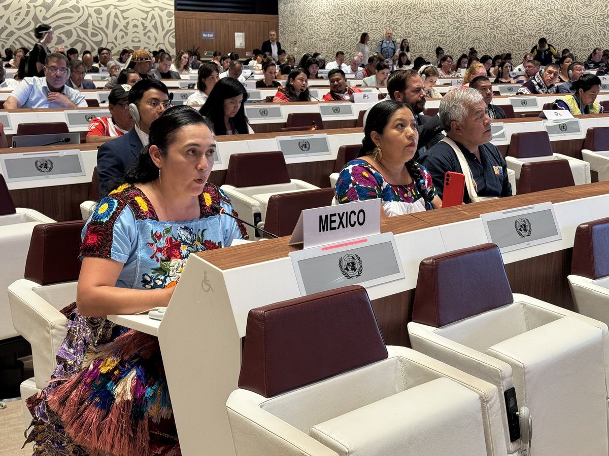 XeewTorres's tweet photo. En 18 sesión #MEDPI @UNHumanRights México se refiere al Catálogo Nacional de Pueblos y Comunidades Indígenas y Afromexicanas @INPImx y a que dichas comunidades reciben y ejercen por vez primera recursos públicos como SUJETOS DE DERECHO PÚBLICO (Art. 2, CPEUM). @DEELAYUUK @SRE_mx https://t.co/pbgtnzgC3c