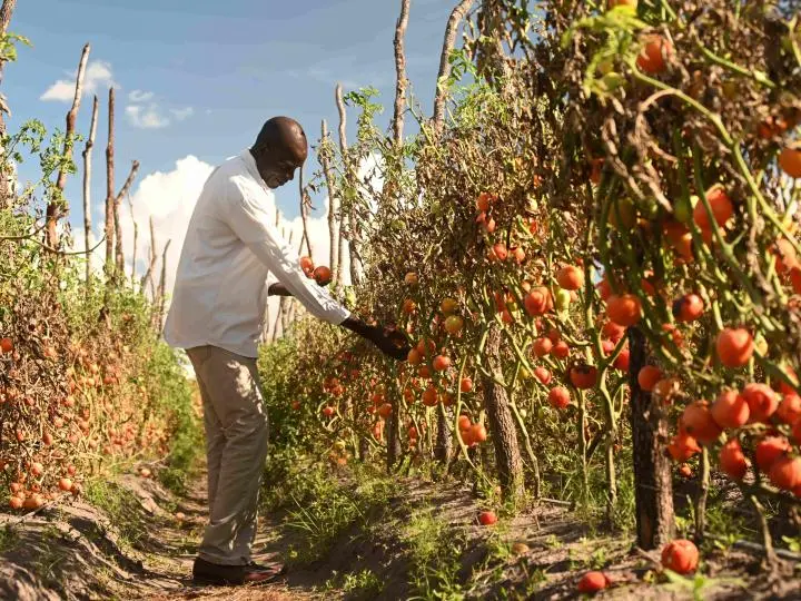 WorldVisionZamo's tweet image. &quot;Previously, we faced challenges due to a poor saving attitude, but World Vision taught us that even small amounts, saved regularly, can transform our lives, helping us buy farm supplies or pay school fees when needed,&quot; says Mwendabai. 
#Livelihoods #SavingsforTransformation