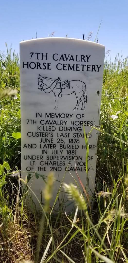Another tiny piece of the mosaic that is American history....7TH CAVALRY HORSE CEMETERY