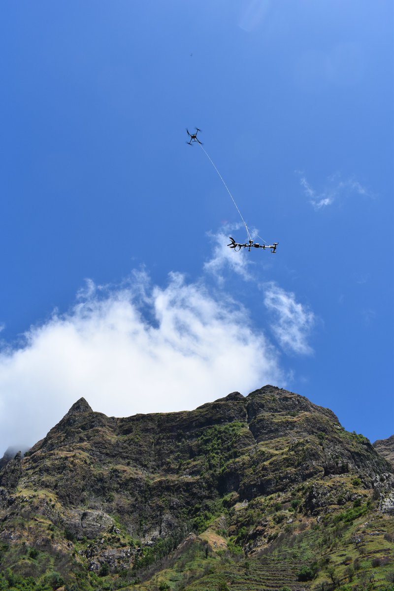 CGoisMarques's tweet image. From #Hawaii to #Madeira, GBM (@U_Madeira) made history last week using #drones (@OutreachRobotic) to collect #plants in inaccessible sites and marking a European first with outstanding results. Thanks @BenBotanical
 @NTBG @Exercito_pt 
#botany #ecology #conservation #islands