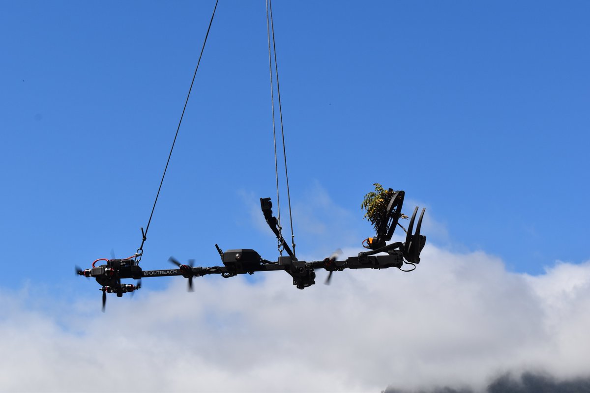 CGoisMarques's tweet image. From #Hawaii to #Madeira, GBM (@U_Madeira) made history last week using #drones (@OutreachRobotic) to collect #plants in inaccessible sites and marking a European first with outstanding results. Thanks @BenBotanical
 @NTBG @Exercito_pt 
#botany #ecology #conservation #islands