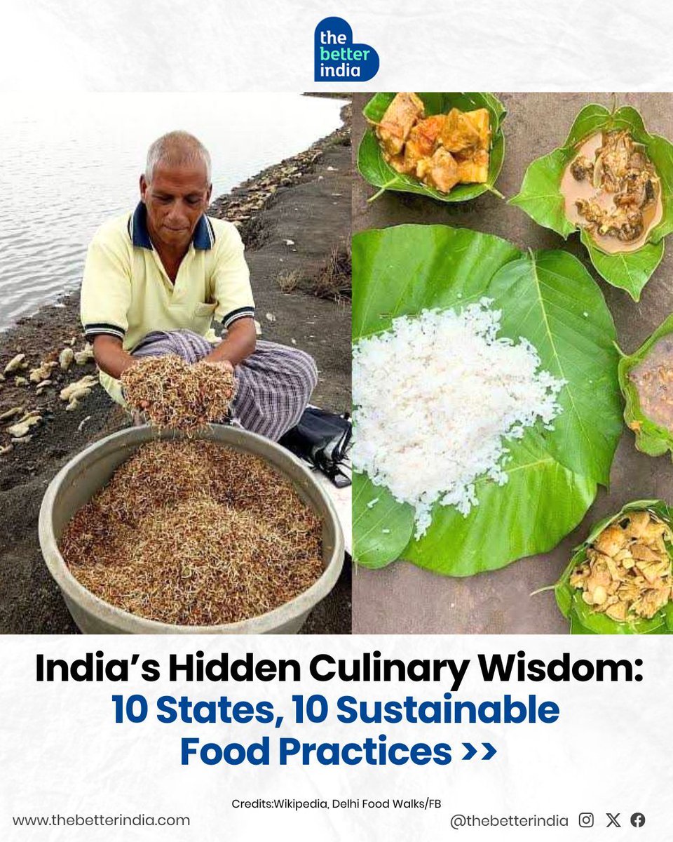 Long before “organic” and “zero-waste” were trending, our villages were already doing it — quietly, wisely, deliciously.

From mountain grains that grow together in harmony to rice that doesn’t even need cooking…These 10 food traditions are not just sustainable, they’re genius.