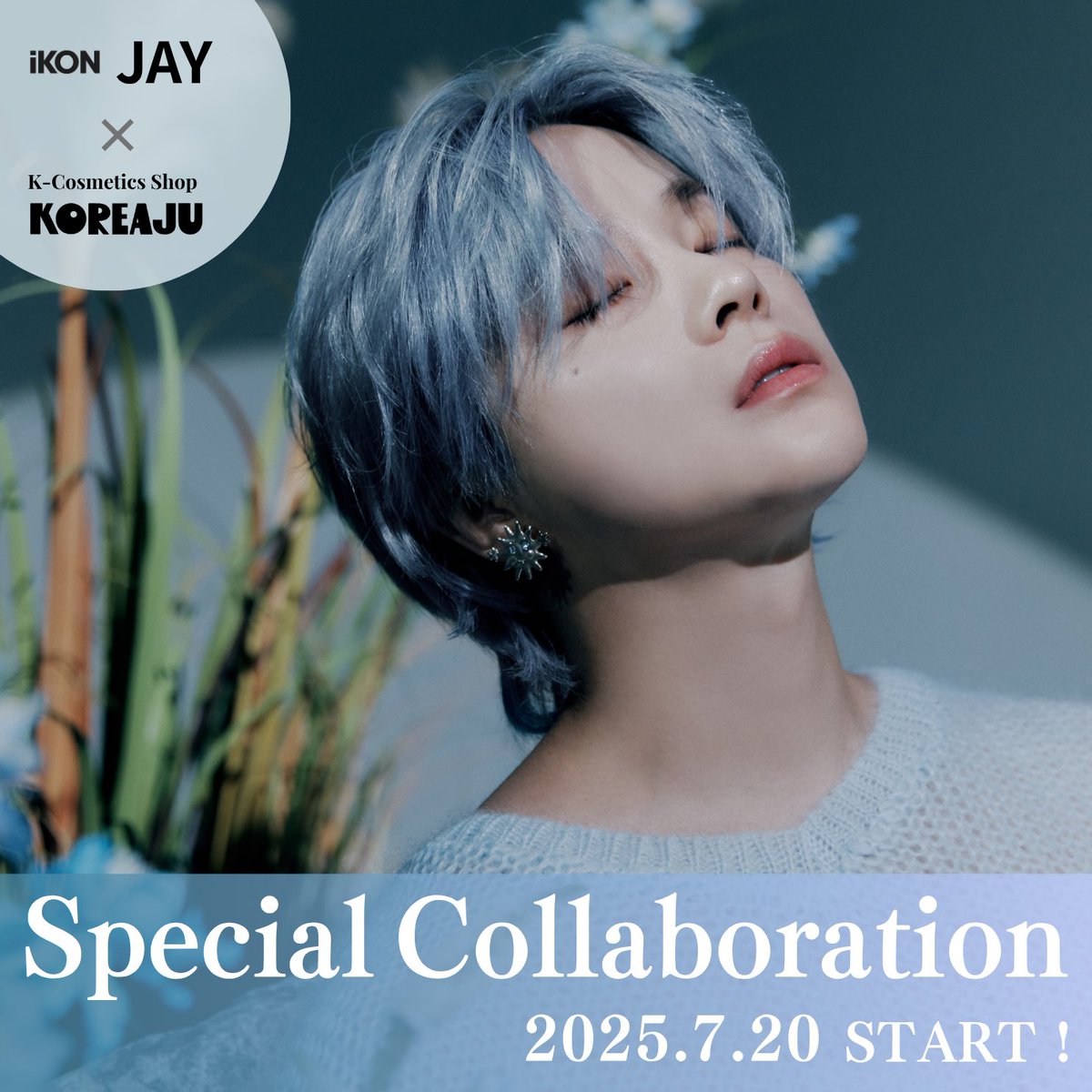 ★韓国の人気★【WV PROJECT】★Serendipity Hoo.d★関税込★ 韓国コスメのセレクトショップKOREAJU on X: