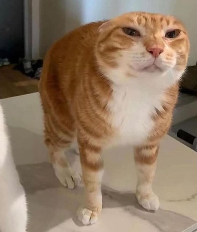 FNF: Double Cross tweet media