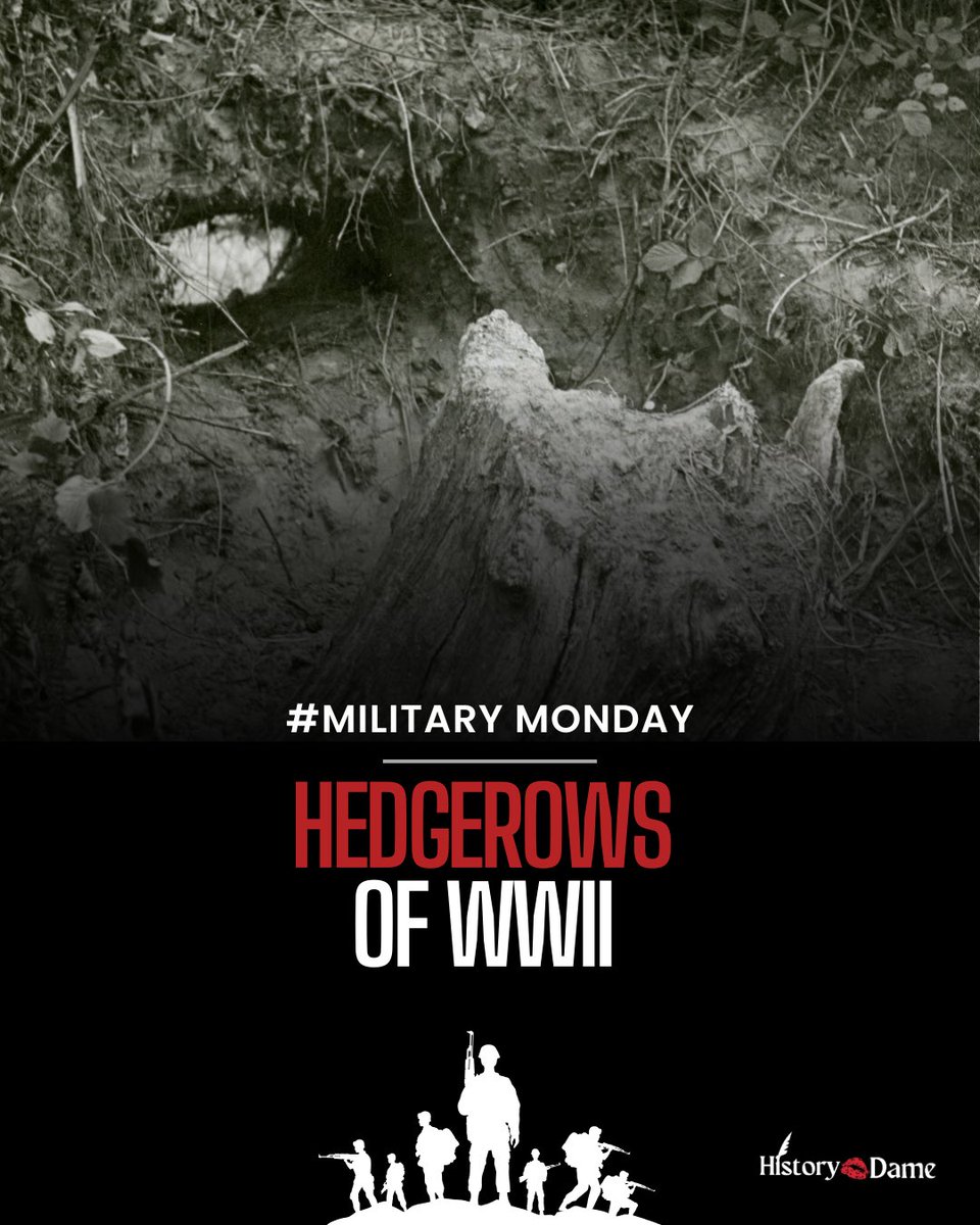 history_dame's tweet image. Storming the beaches on D-Day, June 6, 1944, was only the first step in Operation Overlord. It’s also the step many of us think was the toughest. Yes, for many reasons, and while Allied troops knew it wouldn’t be easy to make their way to Paris, they hadn’t counted on the…